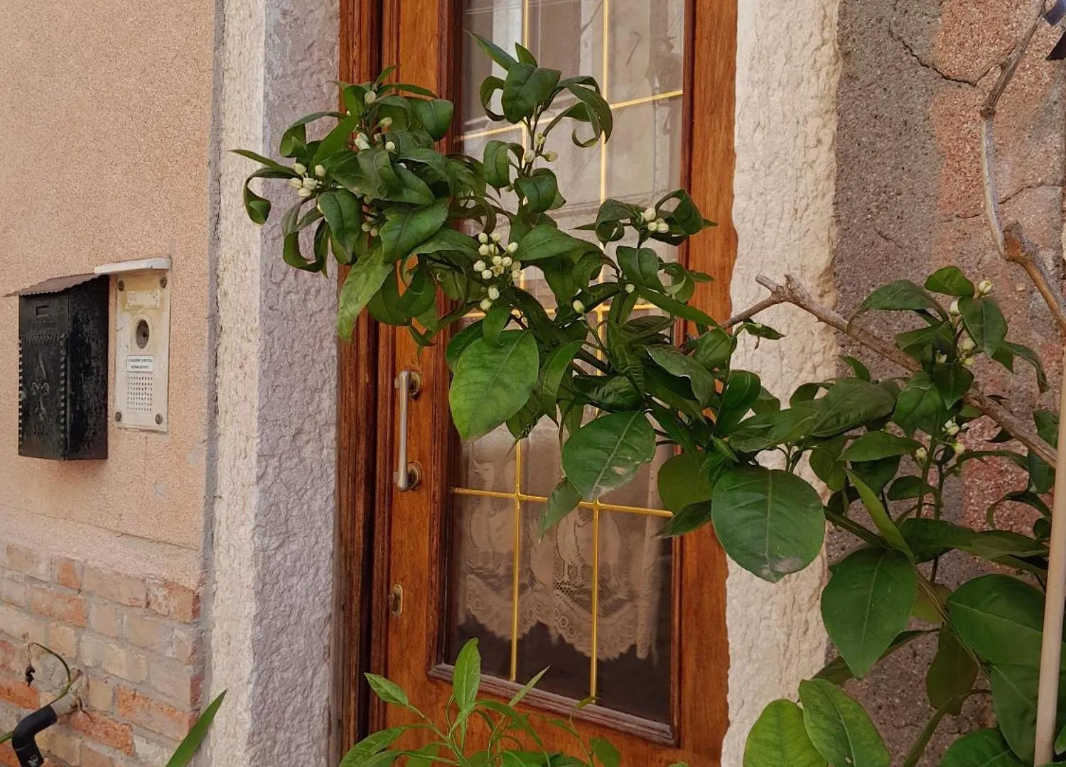 Residenza Ca' Leon Daire Venedik